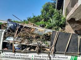 Best Dumpster Rental Services  in Covington, KY
