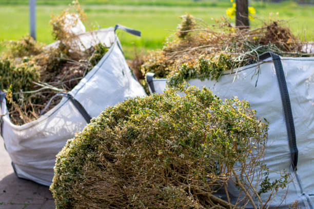 Best Demolition Debris Removal  in Covington, KY